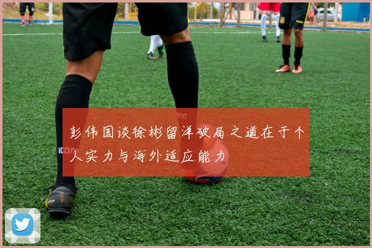 彭伟国谈徐彬留洋破局之道在于个人实力与海外适应能力